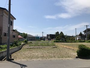 土地