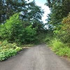 道路