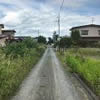 道路